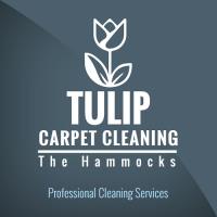 Tulip Carpet Cleaning The Hammocks image 1